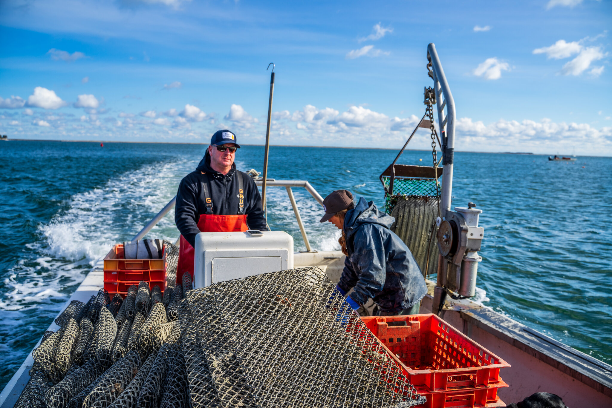 Sea Food